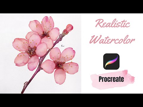 Watercolor Sakura Flower in Procreate | Digital Watercolor Tutorial