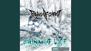 Brink of Life