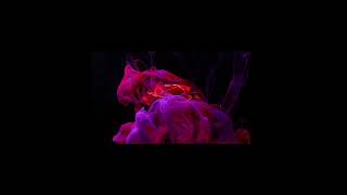 Download lagu Laal Ishq [LoFi]- Arijit Singh by @WORMONO| Indian Lofi Hip Hop| Bollywood Lofi |MusicULoveYT mp3