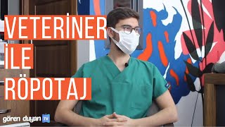 Veteriner Kliniği İle Röportaj, Aklınızdaki Tüm Sorulara Cevaplar! - G