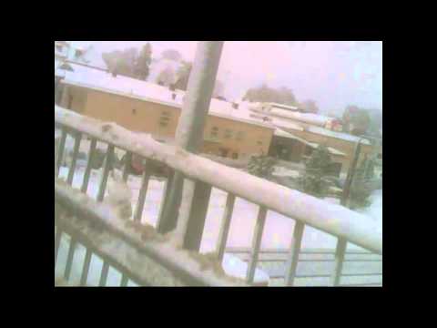 Menossa kavia juomaan