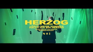 Hallo ich bin Herzog Music Video