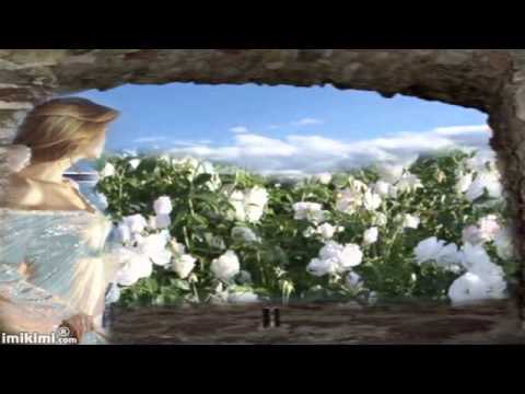 Milion białych róż.wmv