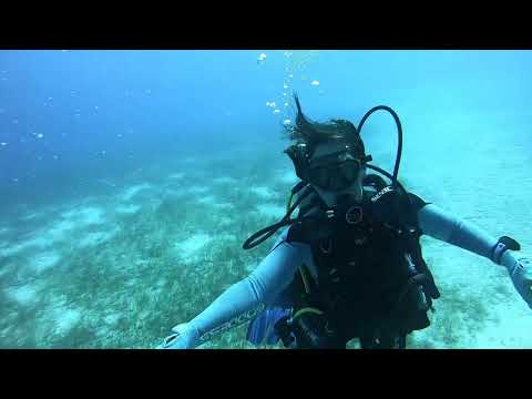 checking out a wreck in Bimini the M.V. Sherice M wreck