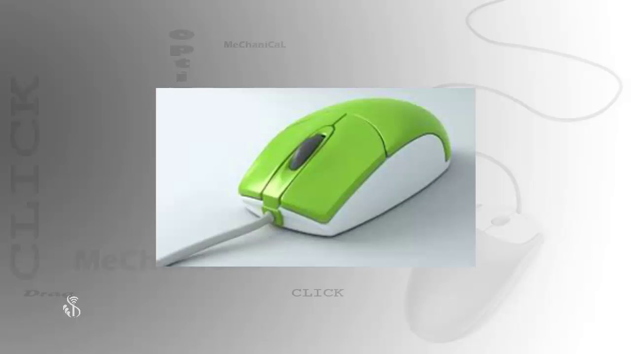 5 2 1 Types of Mouse English