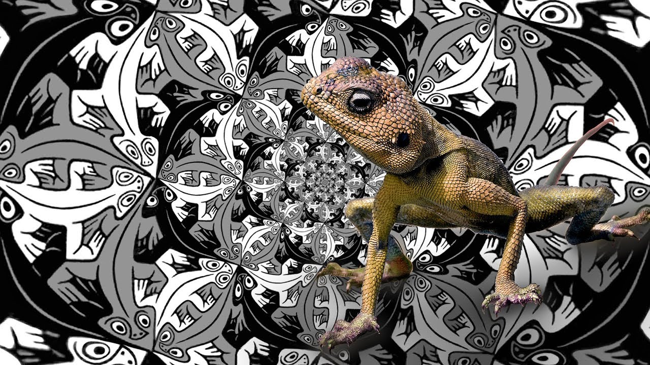 M.C. Escher “Smaller And Smaller” (Lizard) video interpretation