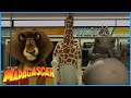 DreamWorks Madagascar Escape From New York Madagascar Movie Clip