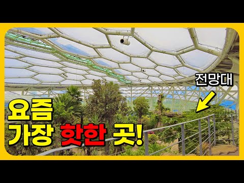 겨울에 꼭! 가봐야하는 따뜻한 여행지 BEST 4