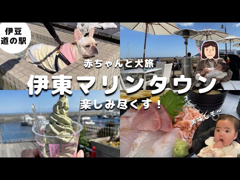 YouTube動画を再生