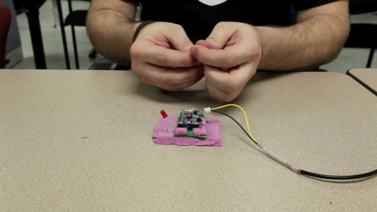 SparkFun Squishy Circuits