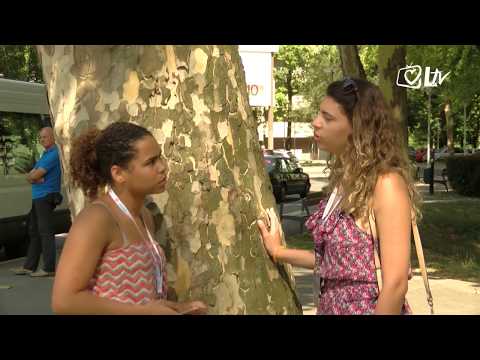 Izdvojeno 21.7.2017. – 4.  Hrvatske svjetske igre