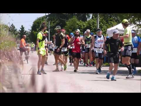 Cesenatico (FC) - 19a Nove Colli Running 2016