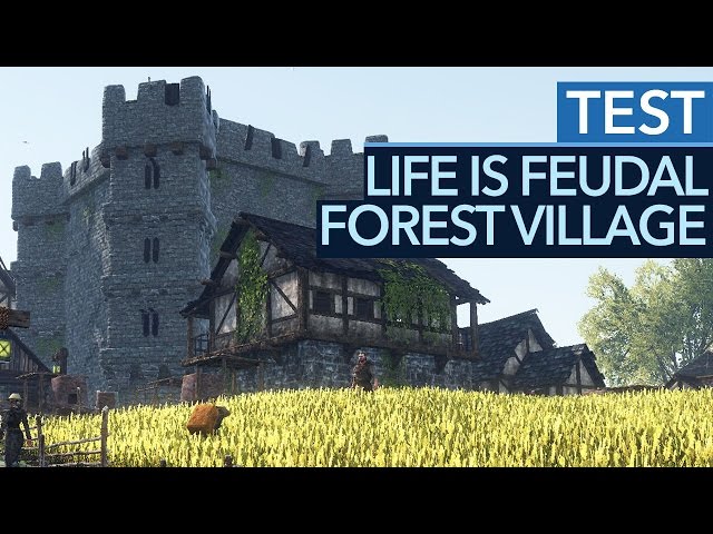 Life is Feudal: Forest Village