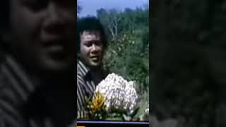 Download lagu roma irama bunga desa mp3 Download lagu roma irama bunga desa mp3