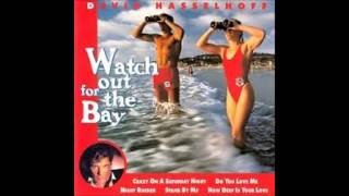 David Hasselhoff - 02 -  Any Kind Of Love At All