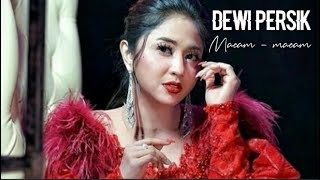 Download lagu DEWI PERSIK - MACAM-MACAM (Lirik) mp3 Download lagu DEWI PERSIK - MACAM-MACAM (Lirik) mp3