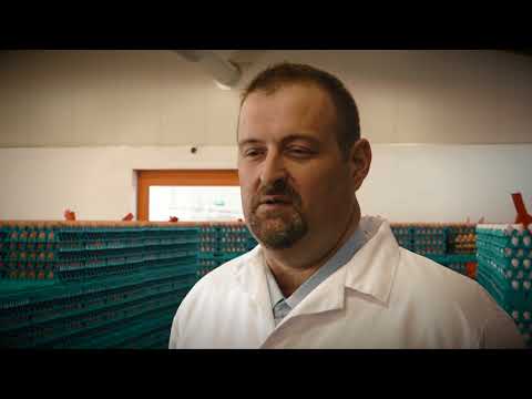 AMA Eier-Packstelle - AMA Kontrolle