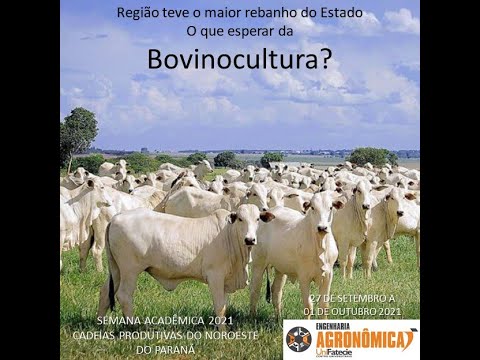 , title : 'Semana Acadêmica 2021 - Cadeias produtivas do Noroeste do Paraná - Bovinocultura