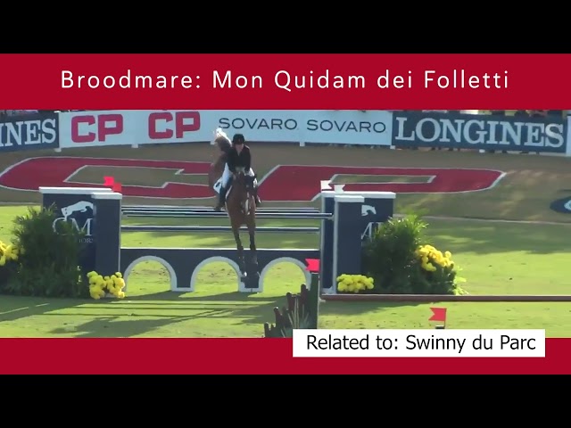 MON QUIDAM DEI FOLLETTI