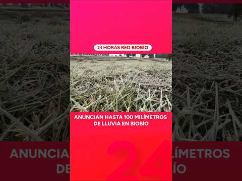-5,4°C se registraron este lunes en Mulchén