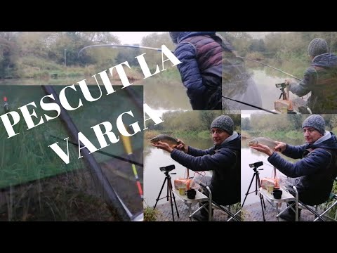 PESCUIT DE TOAMNA LA UNDITA IEFTIN SI EFICIENT