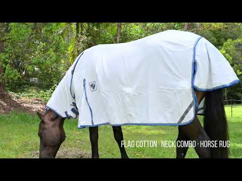 Delzani sample feedback review video