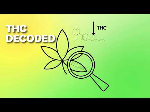 The Science of Marijuana and THC is Fascinating and More Important Than Ever