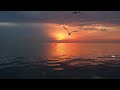 David Arkenstone  - Call Of The Sea