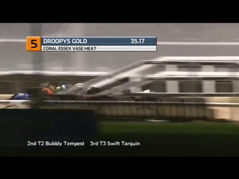 2018 ESSEX VASE - HEAT 1 - T5 DROOPYS GOLD