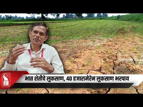 Goa Estimates 20 Hectares Paddy Damage; Announces Rs 40,000/Ha Relief