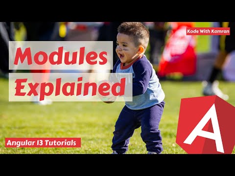 Angular 13 Tutorial 3 Modules