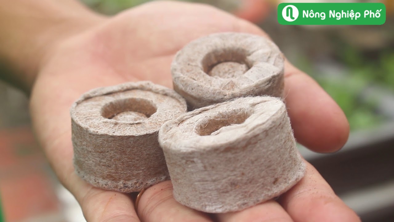 - Viên nén xơ dừa ươm hạt