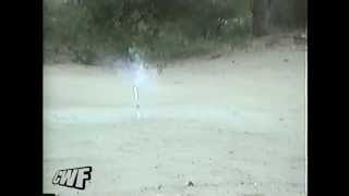 CuteWinFail: Dog Takes Fireworks Fail