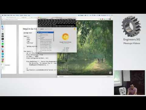 The State of Go - GoSG