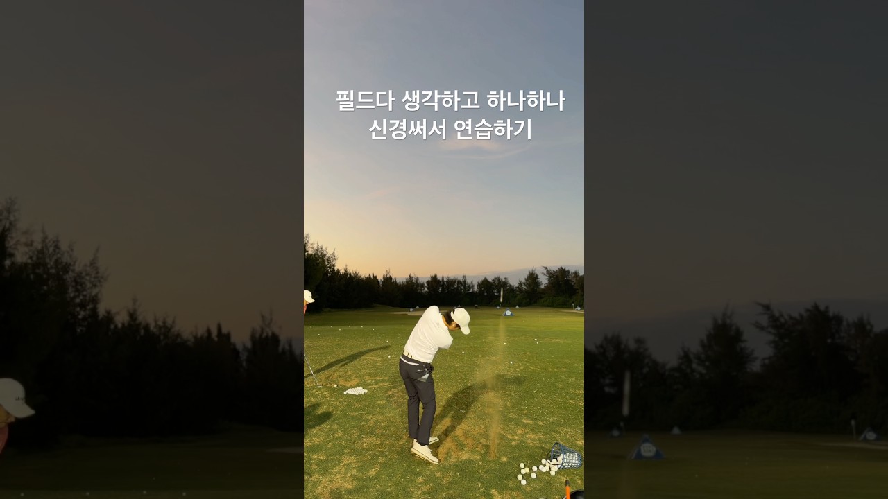 한샷한샷 신경쓰며 연습하기! #골프연습 #golf #레전드다낭cc #다낭 #다낭cc
