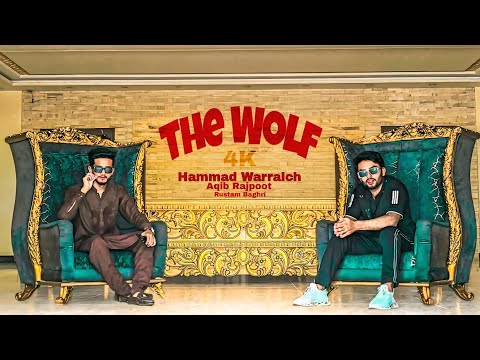 THE WOLF (Official Music Video) | Hammad Warraich & Aqib Rajpoot | Latest Punjabi Song 2025