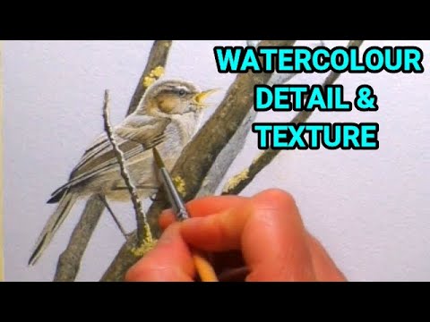 How To Paint Realistic Birds In watercolour, Get The Detail & Texture Right