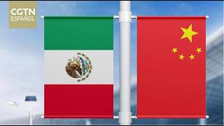 China expresa serias preocupaciones sobre posible revisión de inversión china por parte de México