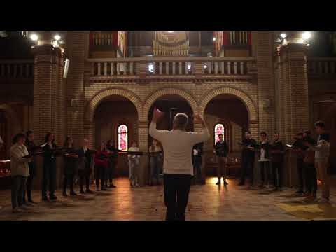 Couronnée d'étoiles