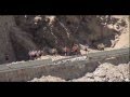 Safety In Numbers -  Trailer