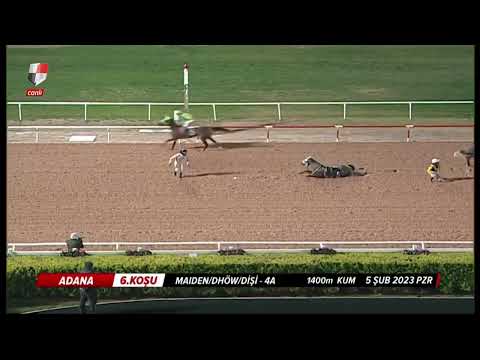 2023 Adana Hipodromunda Ahmet Çeliğin yaşadığı kaza #atyarisi #tjk