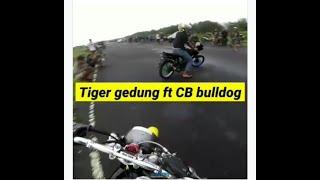 Download lagu TIGER GEDUNG 250 cc TES SPEED BARENG CB BULLDOG mp3 Download lagu TIGER GEDUNG 250 cc TES SPEED BARENG CB BULLDOG mp3