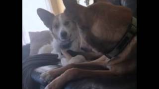 Do you want to talk about your day