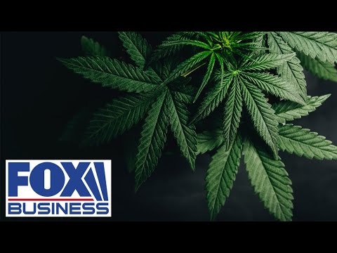 What reclassifying marijuana as a Schedule III drug could mean