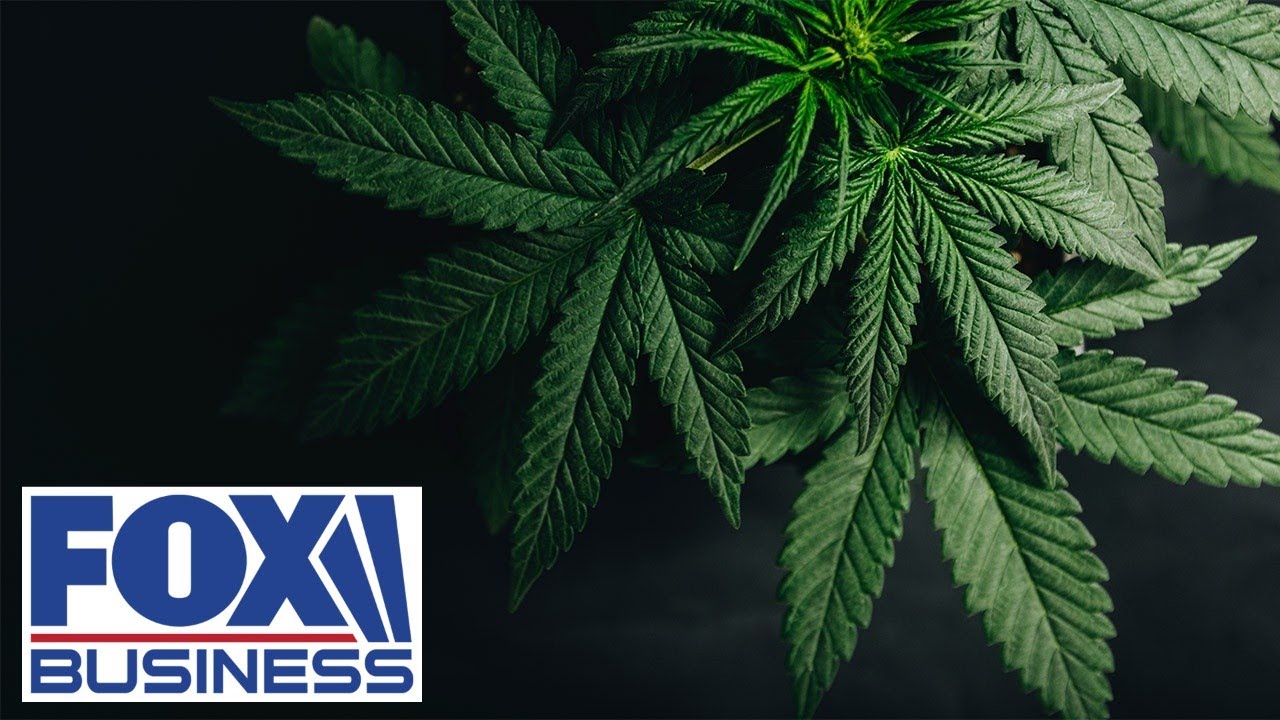 What reclassifying marijuana as a Schedule III drug could mean