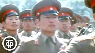 Халхин-Гол. Документальный фильм (1978).