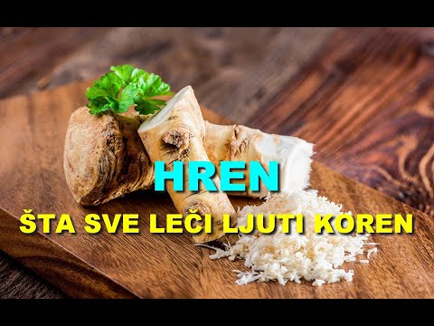 HREN - ŠTA SVE LEČI LJUTI KOREN