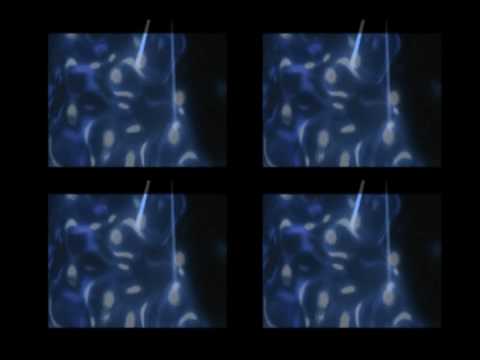 Xatrik and The Slug - Melon Smoothie