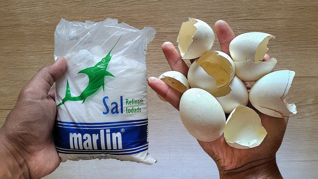 MORRIA E NÃO SABIA: É só bater SAL com CASCA DE OVO e não precisa mais gastar dinheiro