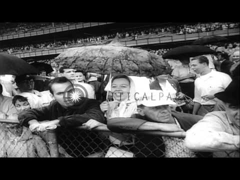 On and on wins the Brooklyn Handicap in New York, United States. HD Stock Footage